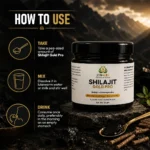 SHILAJIT GOLD PRO - Image 5