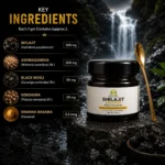 SHILAJIT GOLD PRO - Image 2