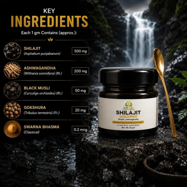 Shilajit Gold Pro - Ayurvedic Energy & Vitality - Image 2
